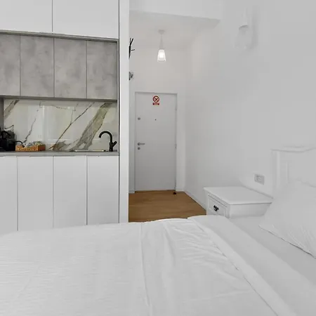 Small & Chic Close To The Victoriei Square Apartment Bucharest